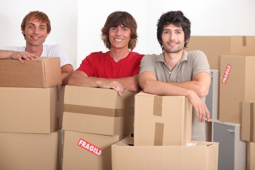 Professional movers handling packed boxes and furniture inside a flat